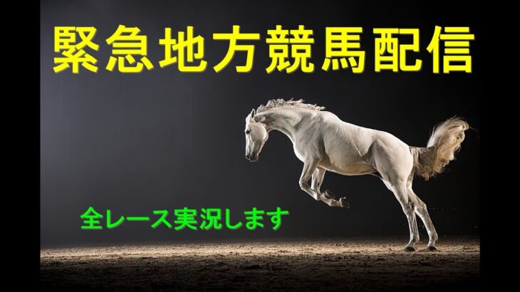 【中央競馬】延長戦（地方競馬）朝から生競馬　ライブ配信　（新潟→京都→東京）Horse Racing Commentary