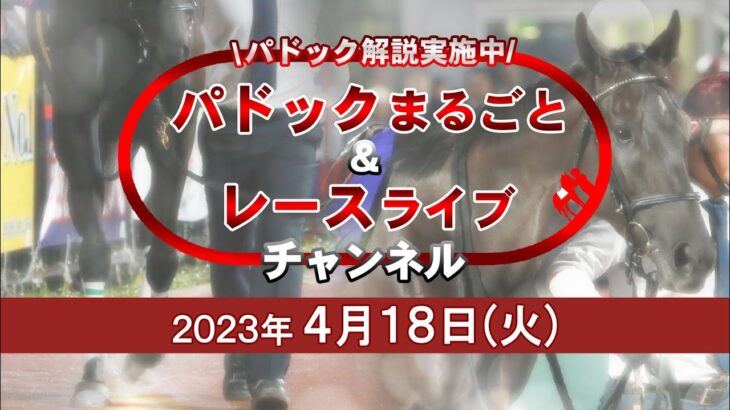 TCKパドックまるごと＆レースライブチャンネル（2023/4/18）